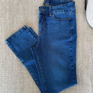 Talbots Women's Skinny Jeans in Deep Blue Denim